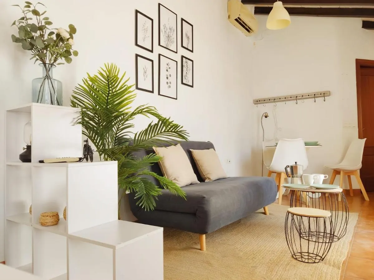 Appartamento Stunning Attic With Private Terrace And Parking Optional Siviglia Spagna