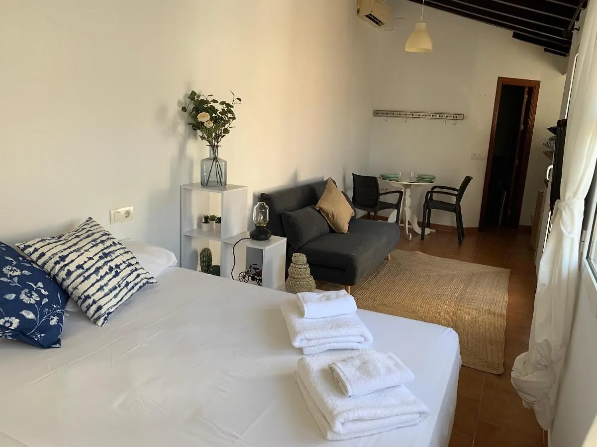 Apartament Stunning Attic With Private Terrace And Parking Optional Sewilla