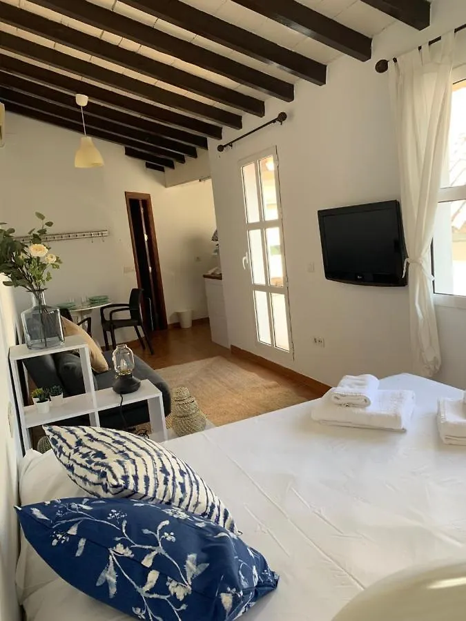 Apartament Stunning Attic With Private Terrace And Parking Optional Sewilla
