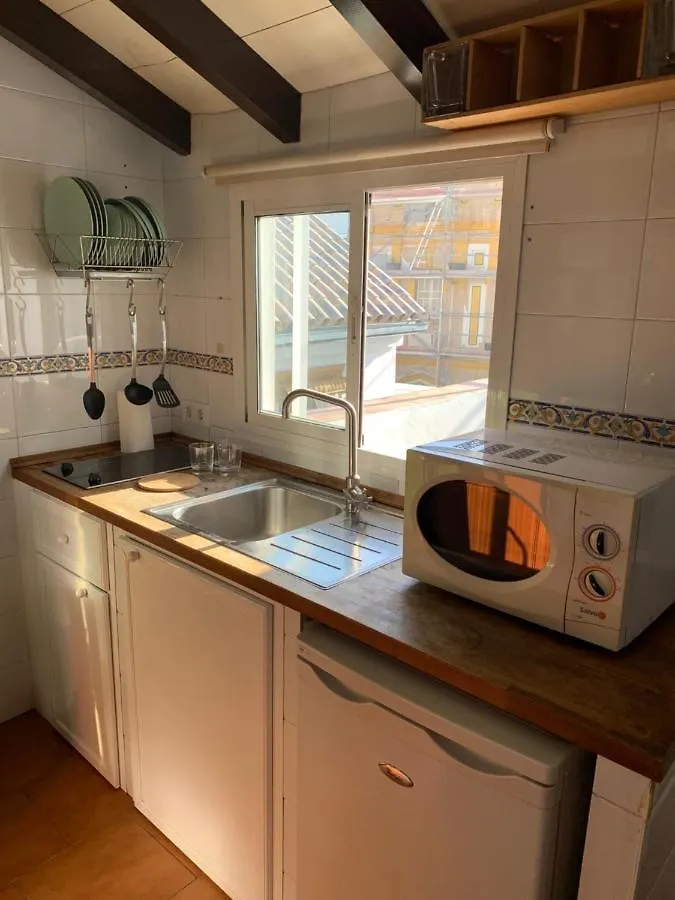 Apartament Stunning Attic With Private Terrace And Parking Optional Sewilla 0*,