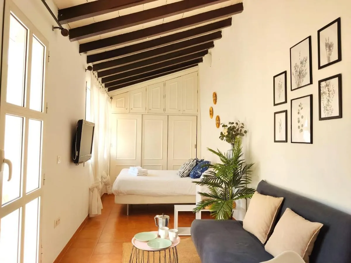Apartament Stunning Attic With Private Terrace And Parking Optional Sewilla
