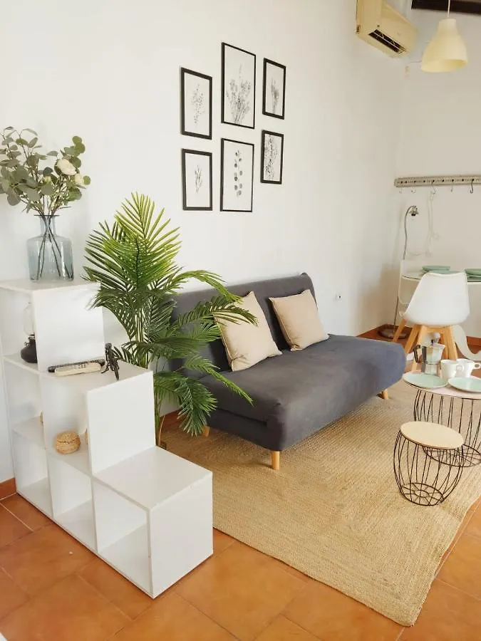 Apartament Stunning Attic With Private Terrace And Parking Optional Sewilla Hiszpania